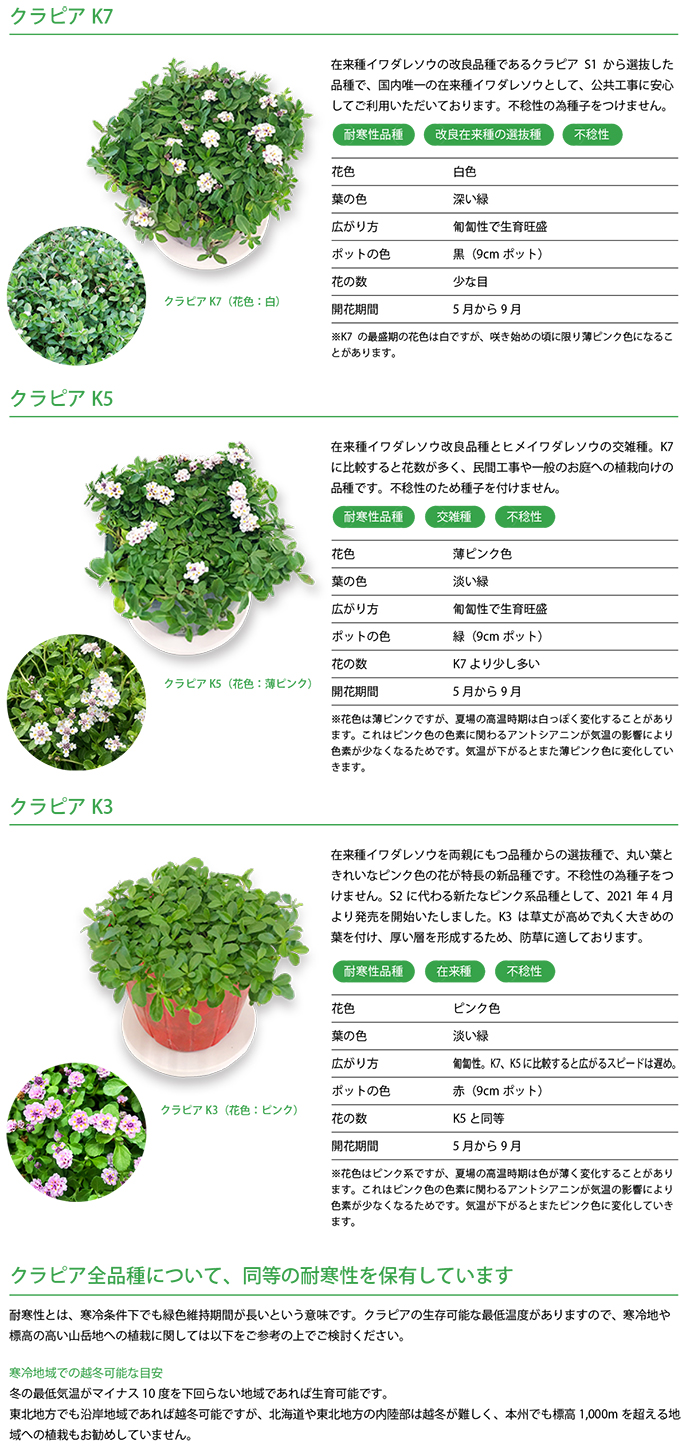クラピアの比較表