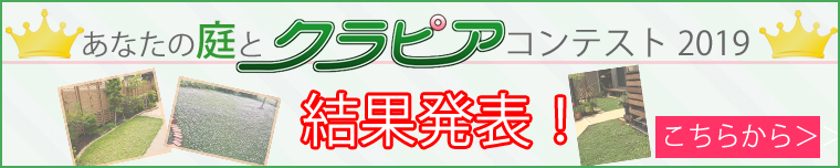 クラピアコンテスト2018 結果発表