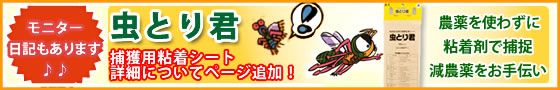 虫とり君詳細ページへ