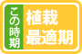 この時期植栽最適期