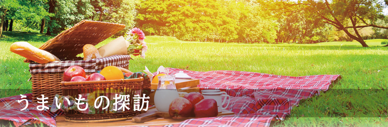 ܂̒TK