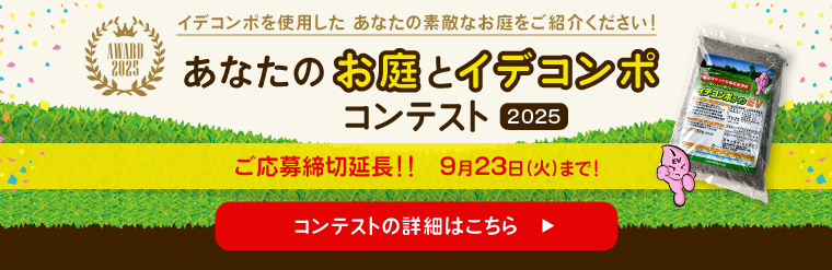CfR|ReXg2025