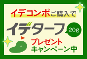 イデターフプレゼント
