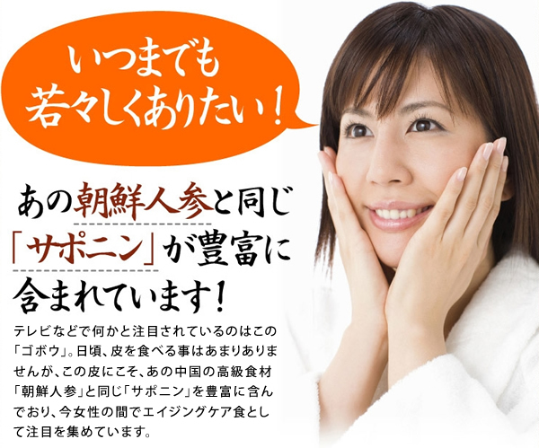 ごぼう茶効能