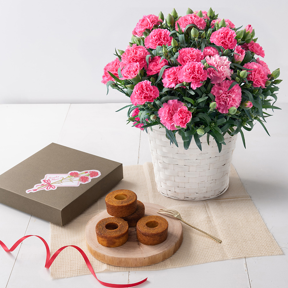 ホシファーム　カーネーション＆焦がしキャラメルがしみ込んだバーム４個