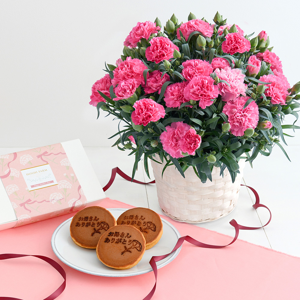 ホシファーム　カーネーション＆徳島なると金時のどら焼き