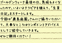 S[fEB[NŌ̓AC悭Ȃ̂ŁA悢NsAAāAuLvX^[g܂B́u뉀vɂ͂āA厖ȂƂ̓|CgAhoCXƂĂЉĂ܂BЂ҂I