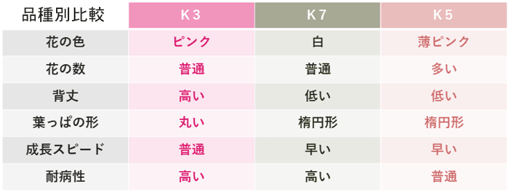 クラピアの比較表