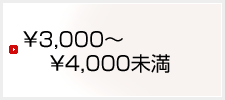 \3,000`\4,000